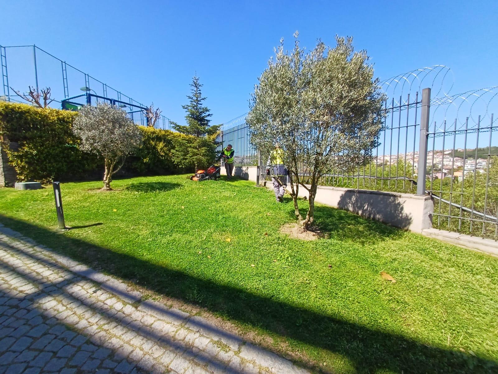 GÜNEŞ TARIM PEYZAJ VE TEMİZLİK